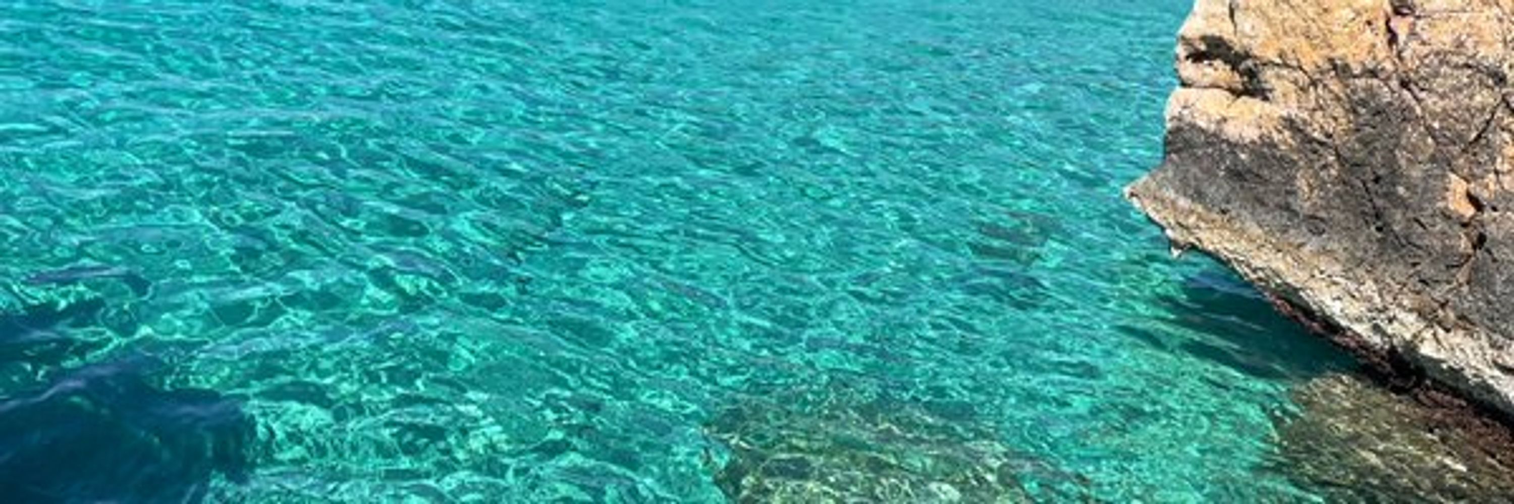 Alba Gimbert