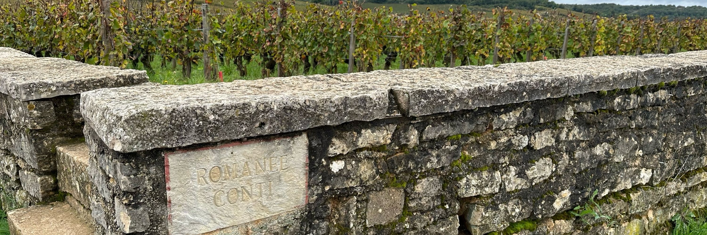 RareWine Group