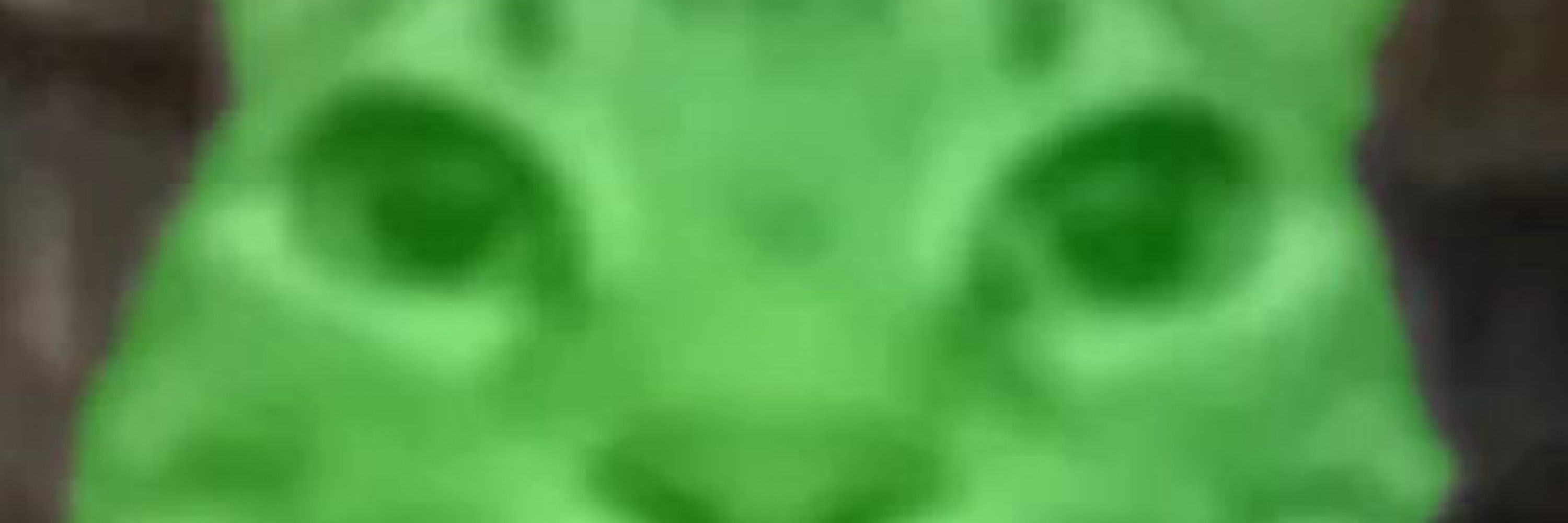 Screechh