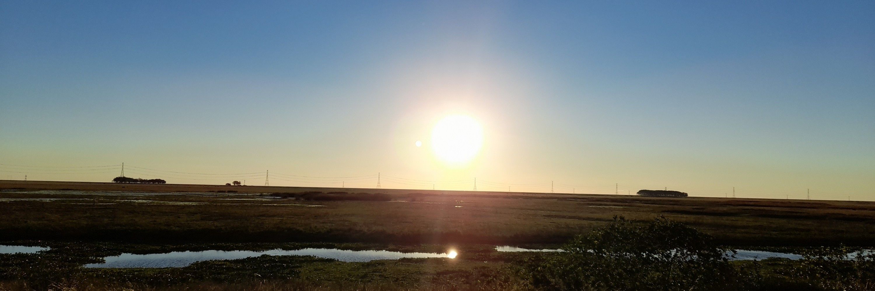 Rezewde