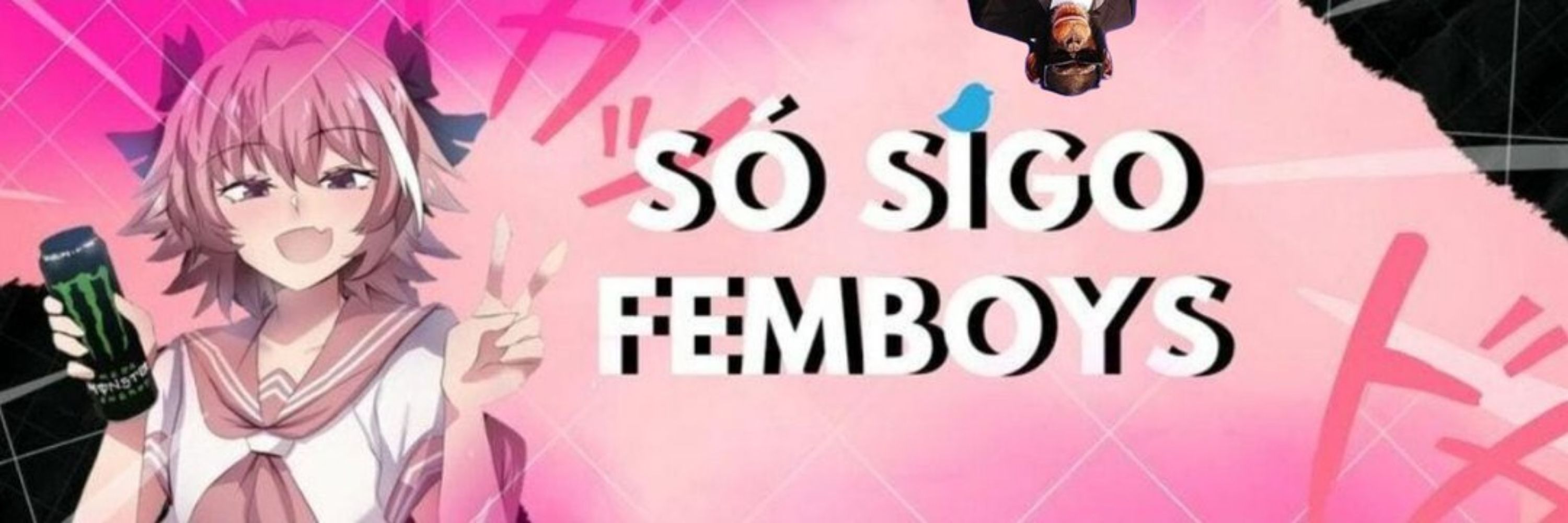 Só Sigo Femboys