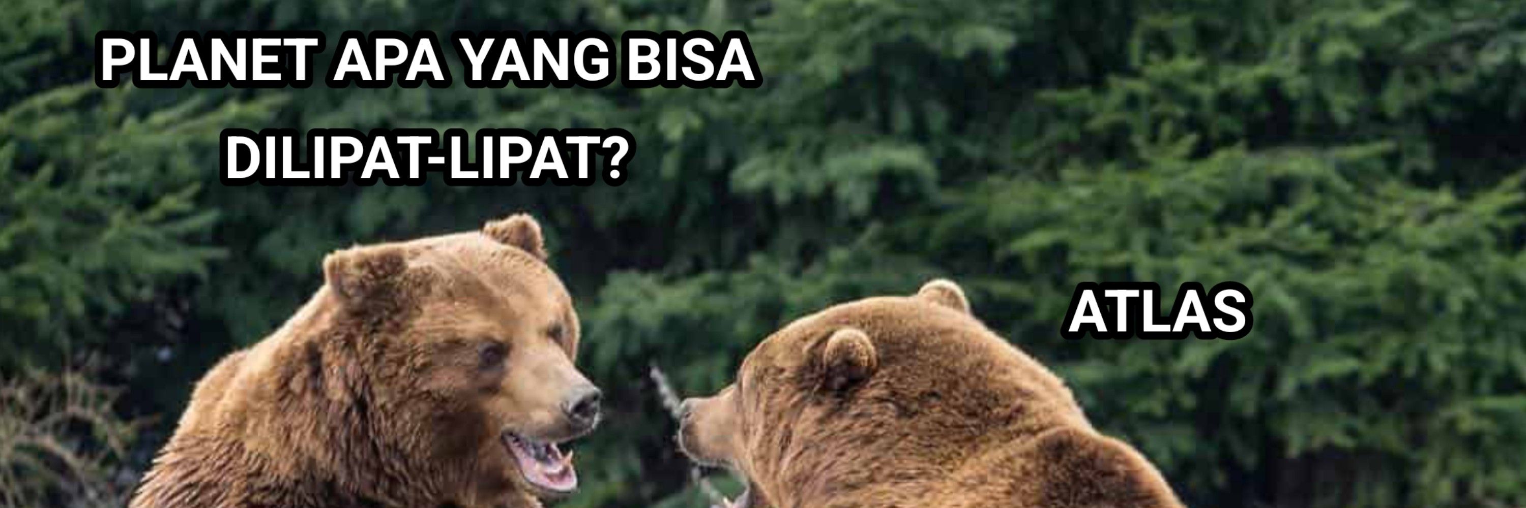Paman Beruang