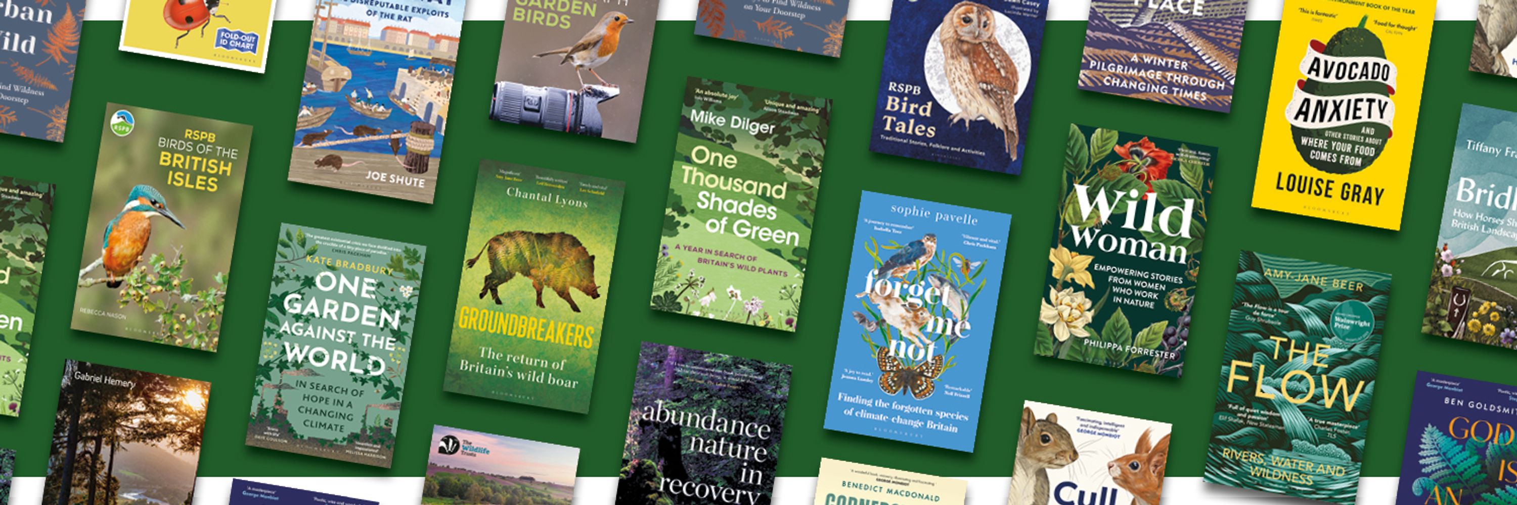 Bloomsbury Wildlife