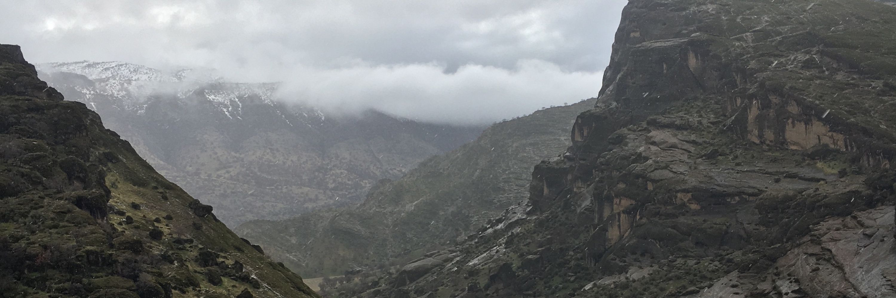 MamdMehrabi