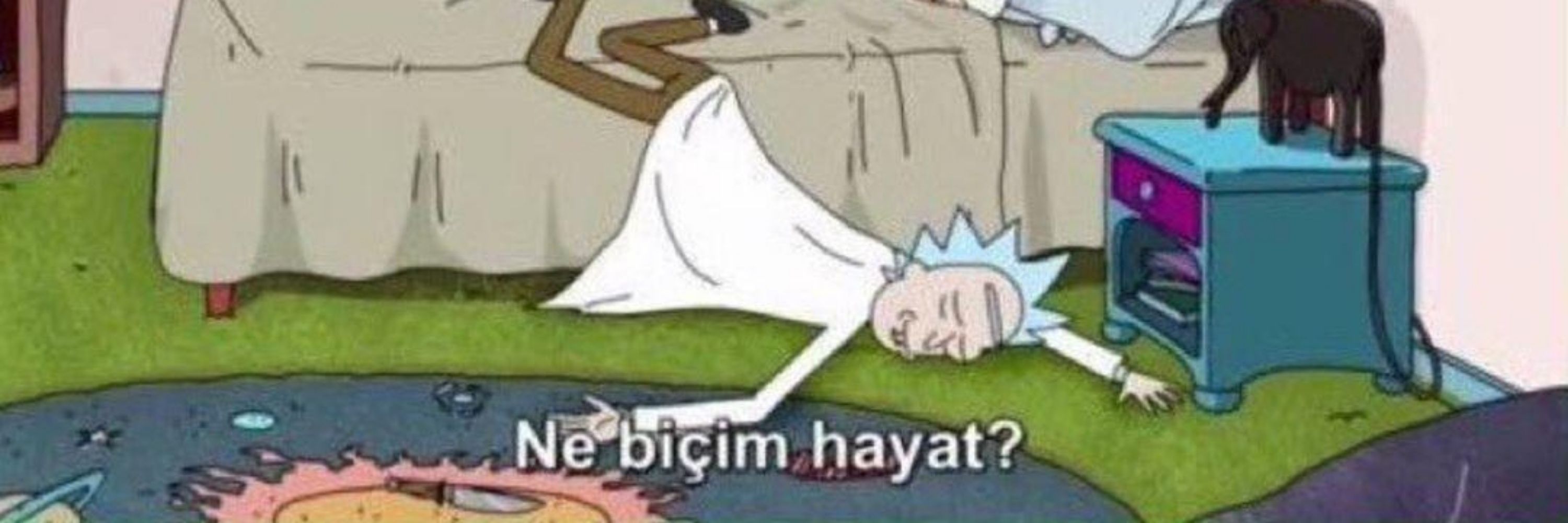 Süm 🌸