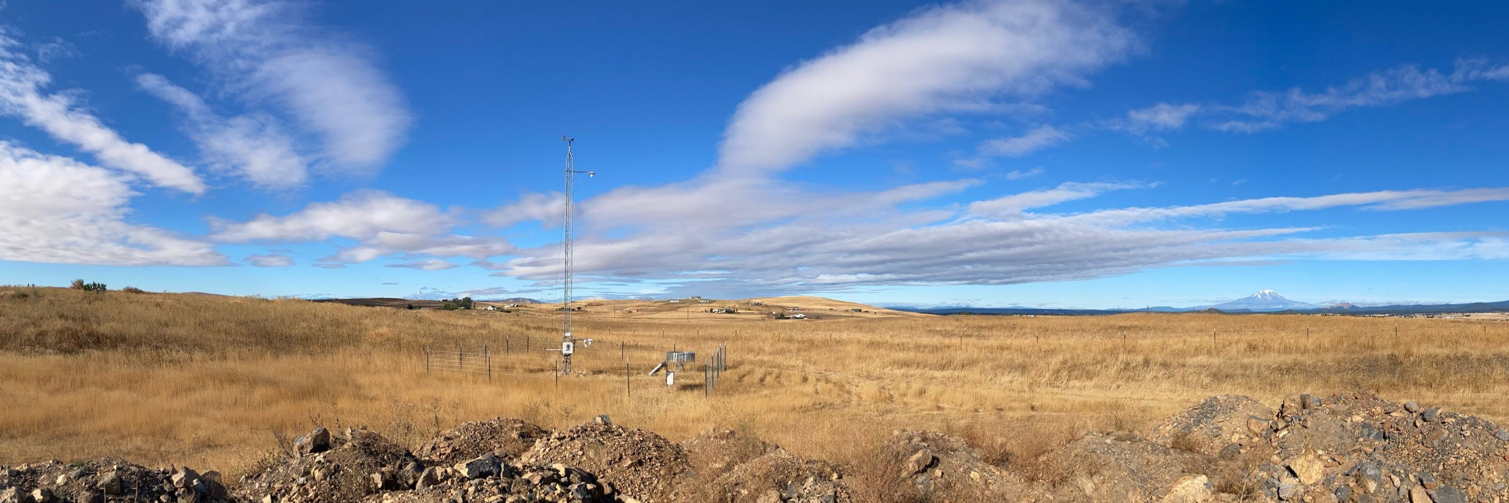 Washington Mesonet