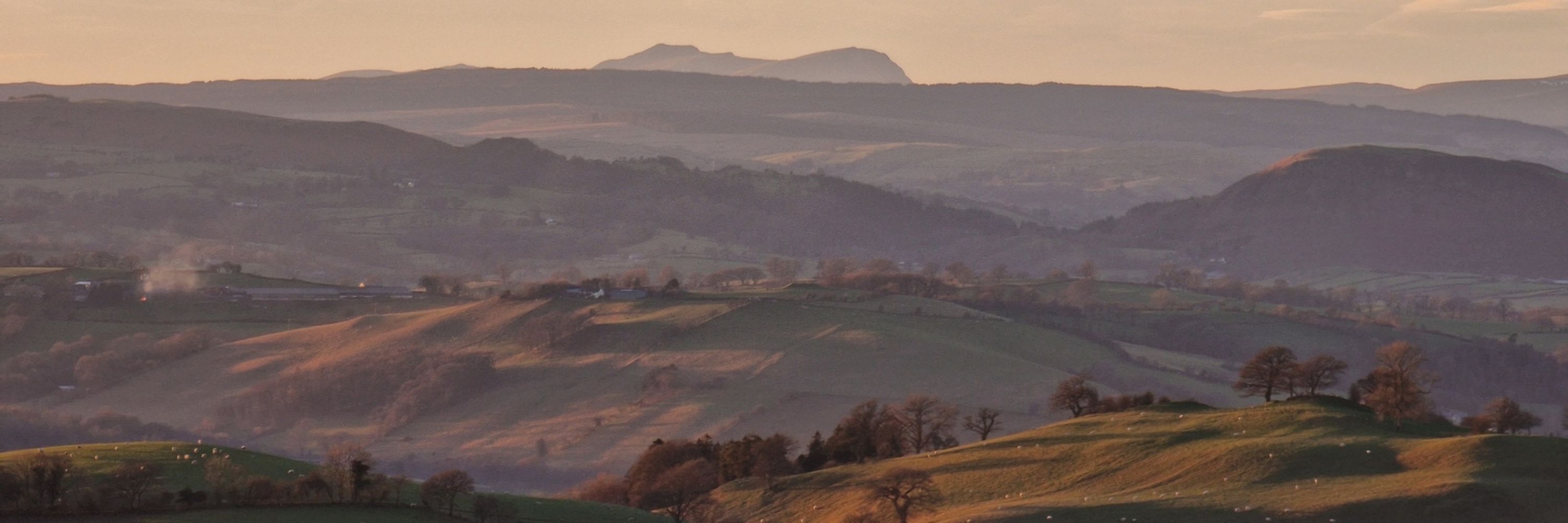Tamasine Stretton
