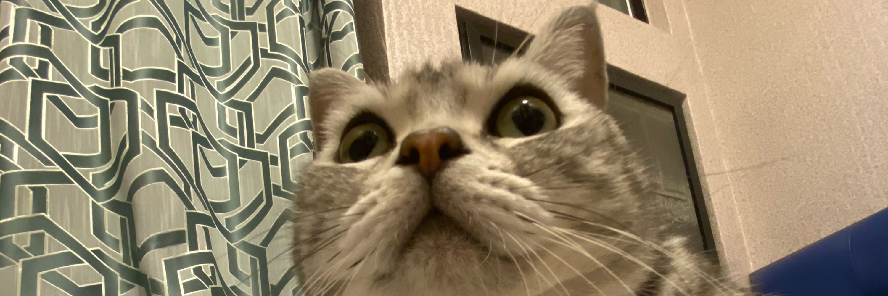 ういんぐわん