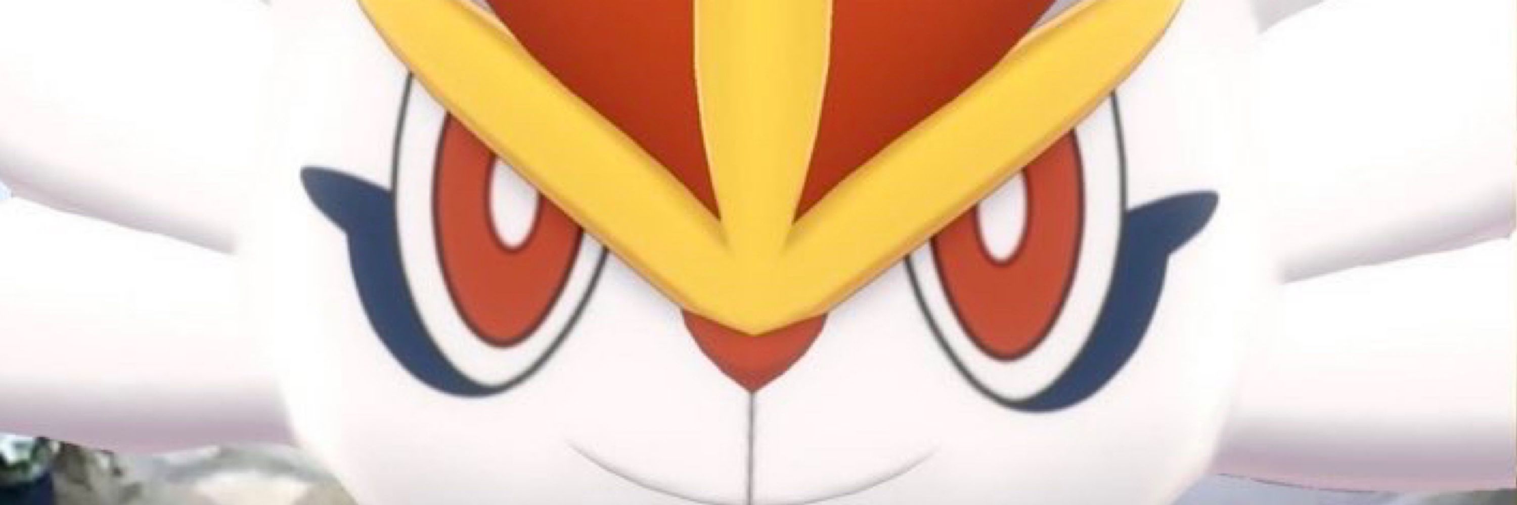 Cinderace Propaganda!