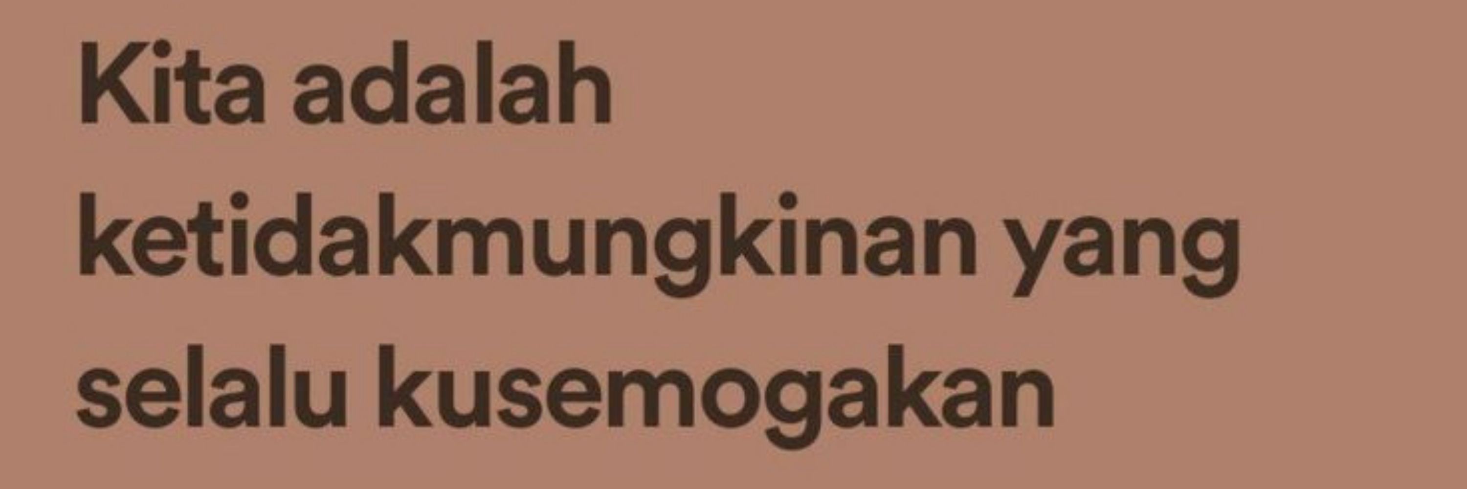 bukan kucing