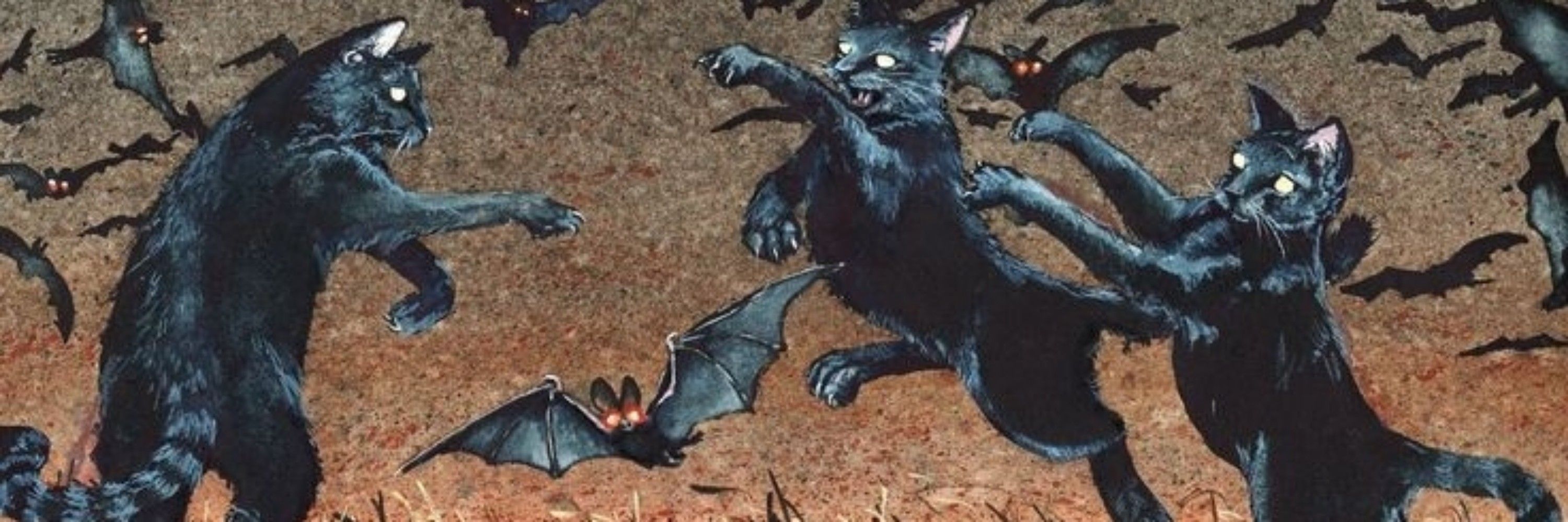 The Bat from a certain Cat 🦇