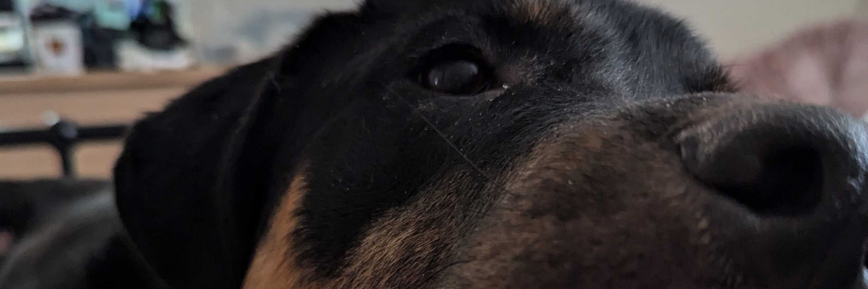 Spicy Heck Boi