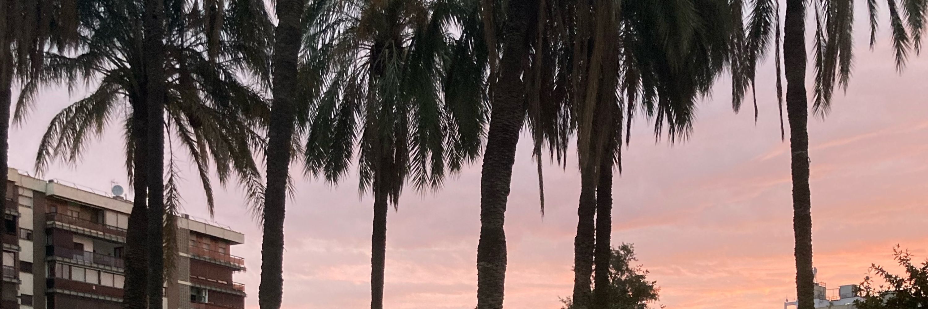 Franchu 🥰