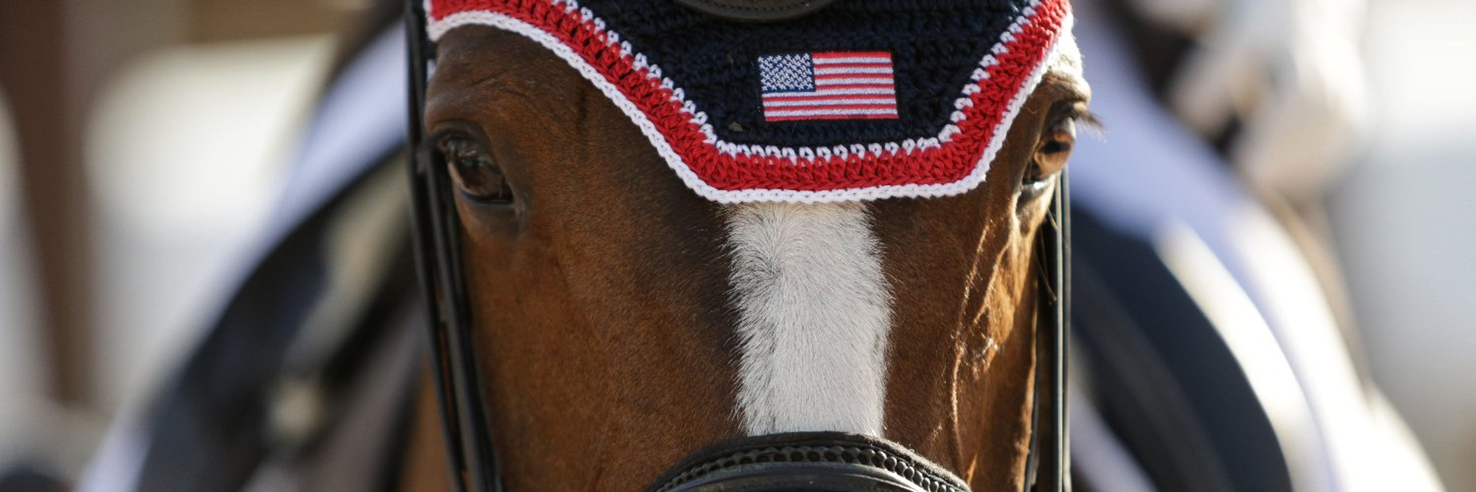 US Equestrian