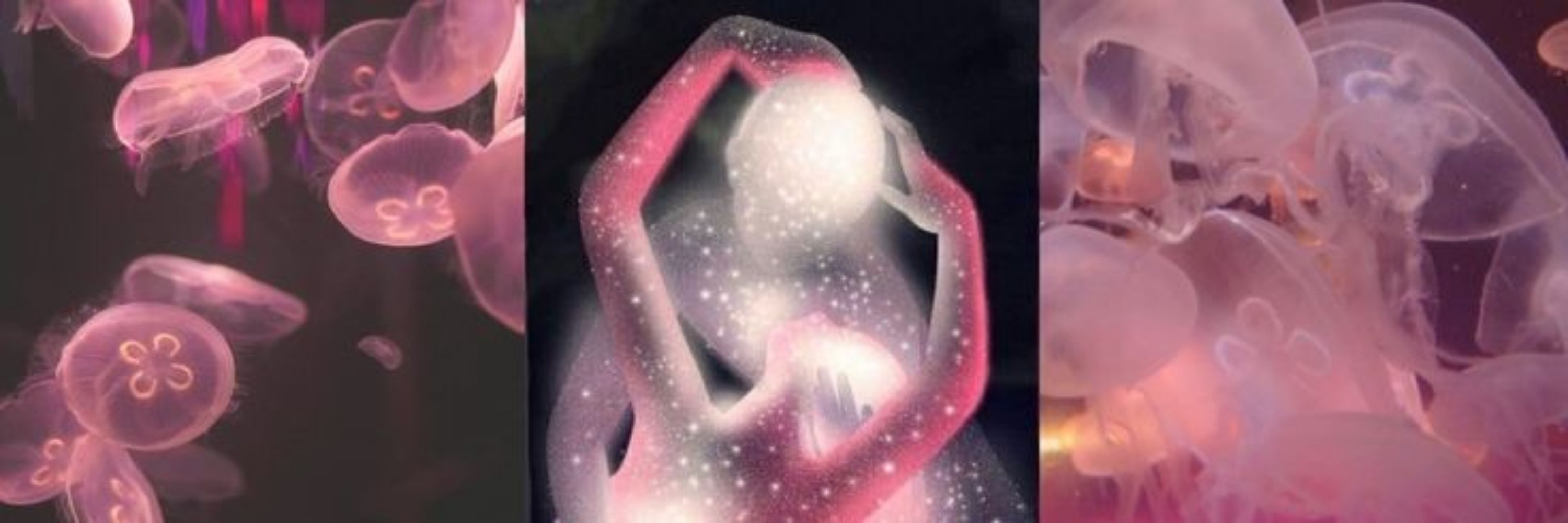 ღari