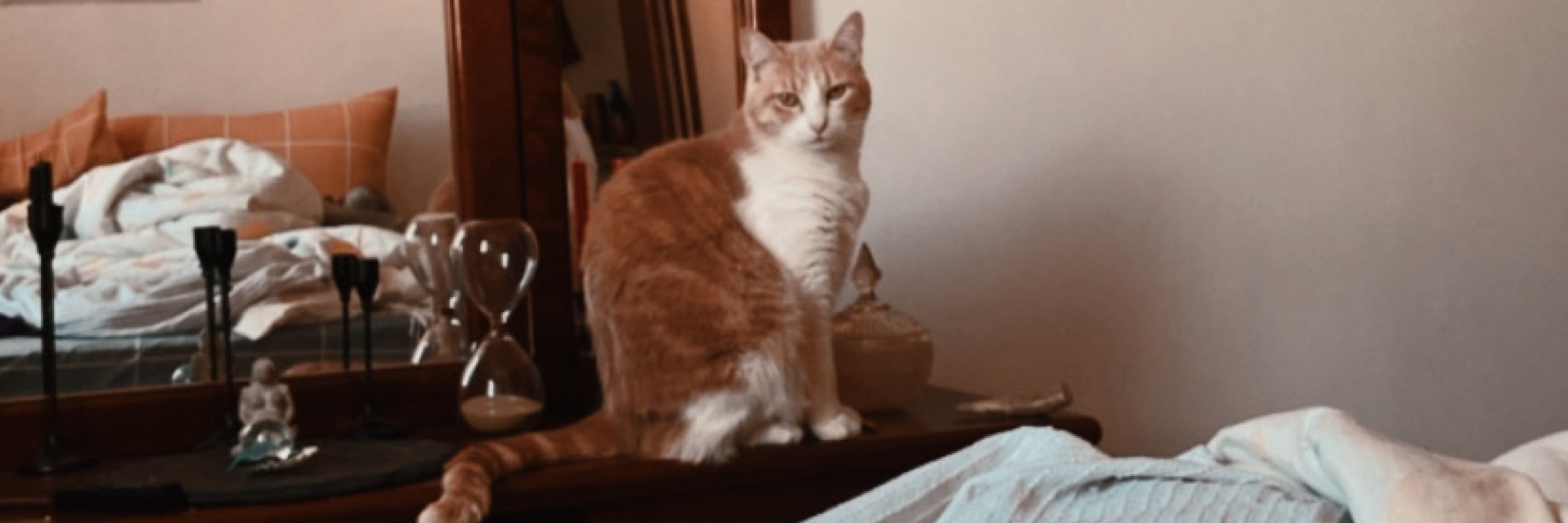 Lorelai