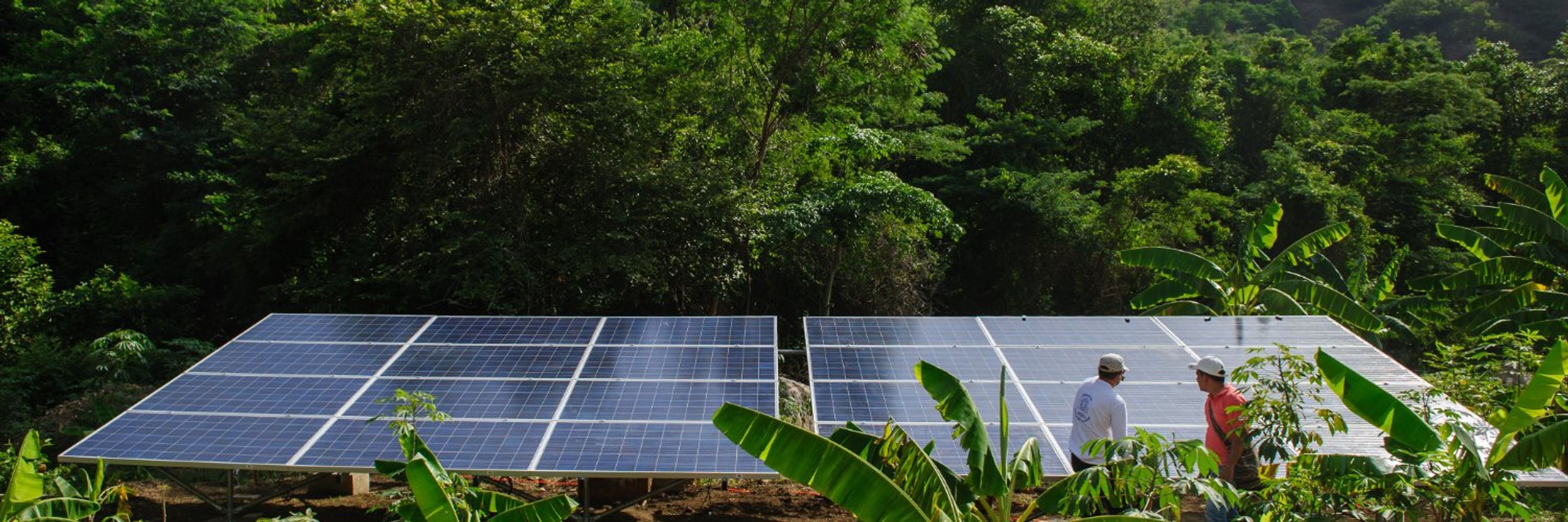 Solar Electric Light Fund (SELF)