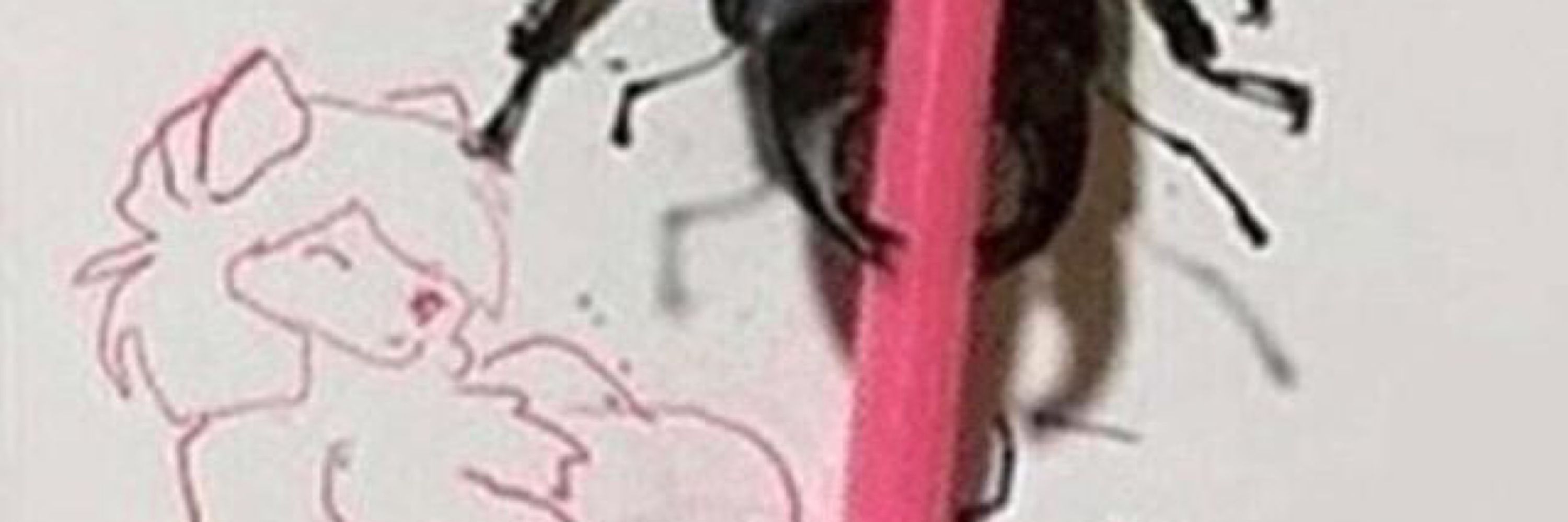 🔞[bstrd]🔞