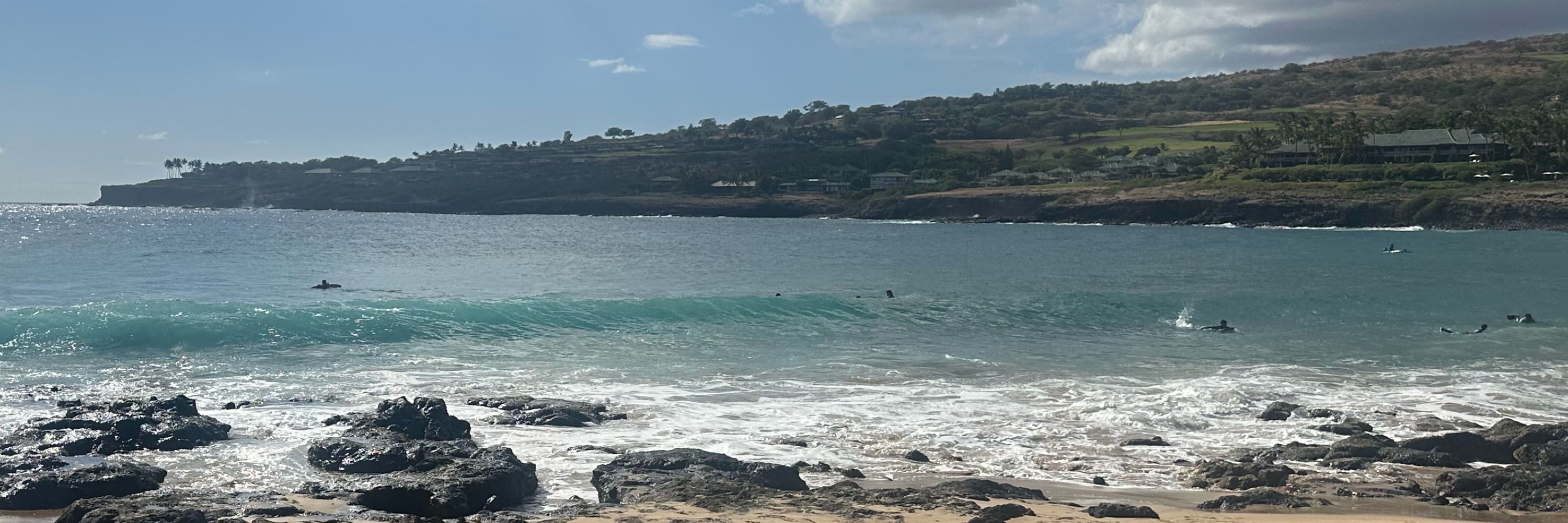 Maui Metalhead