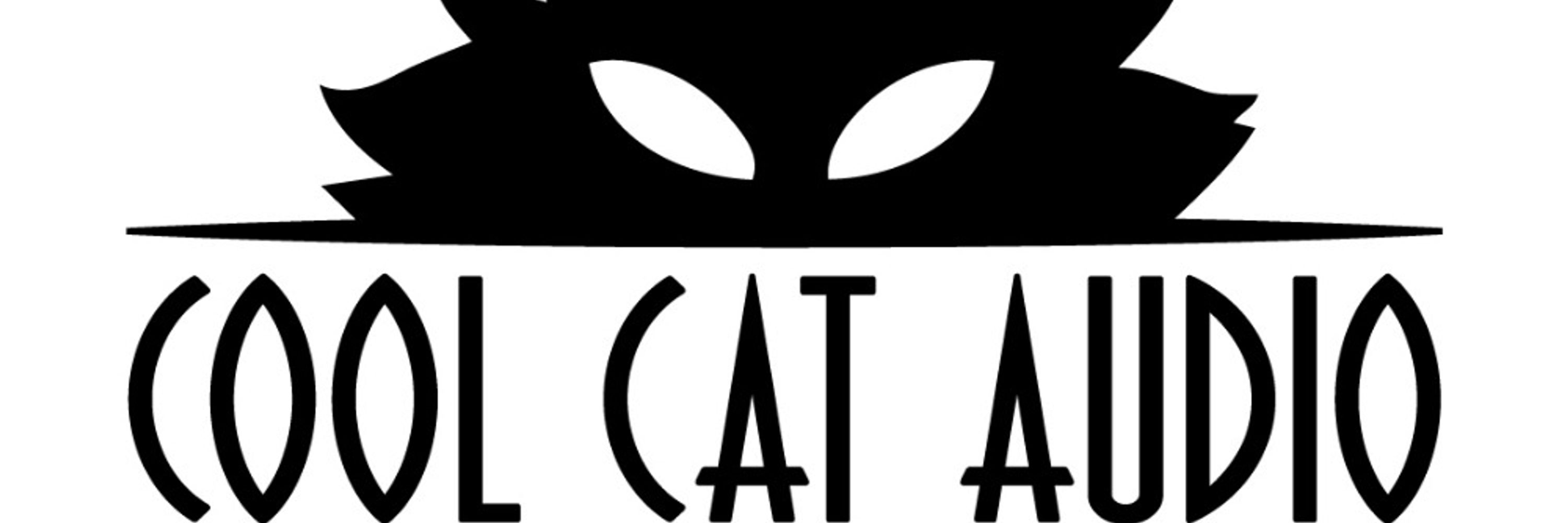 Mike Hallenbeck (Cool Cat Audio)