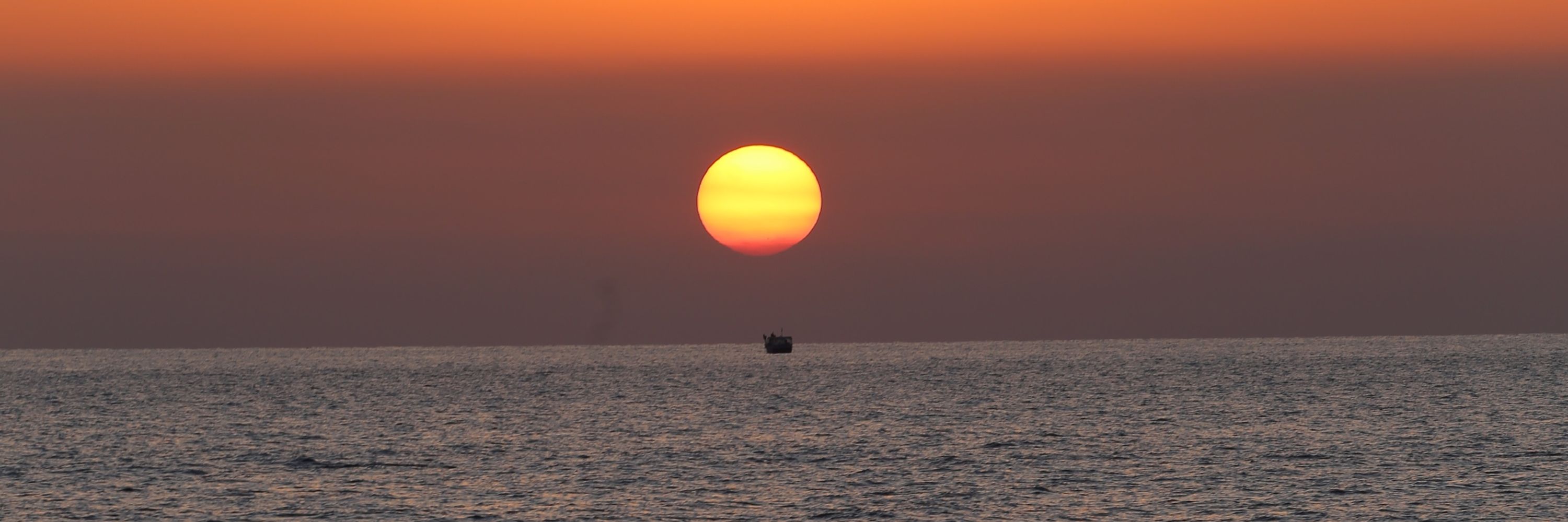 بهزاد ملک حسینی