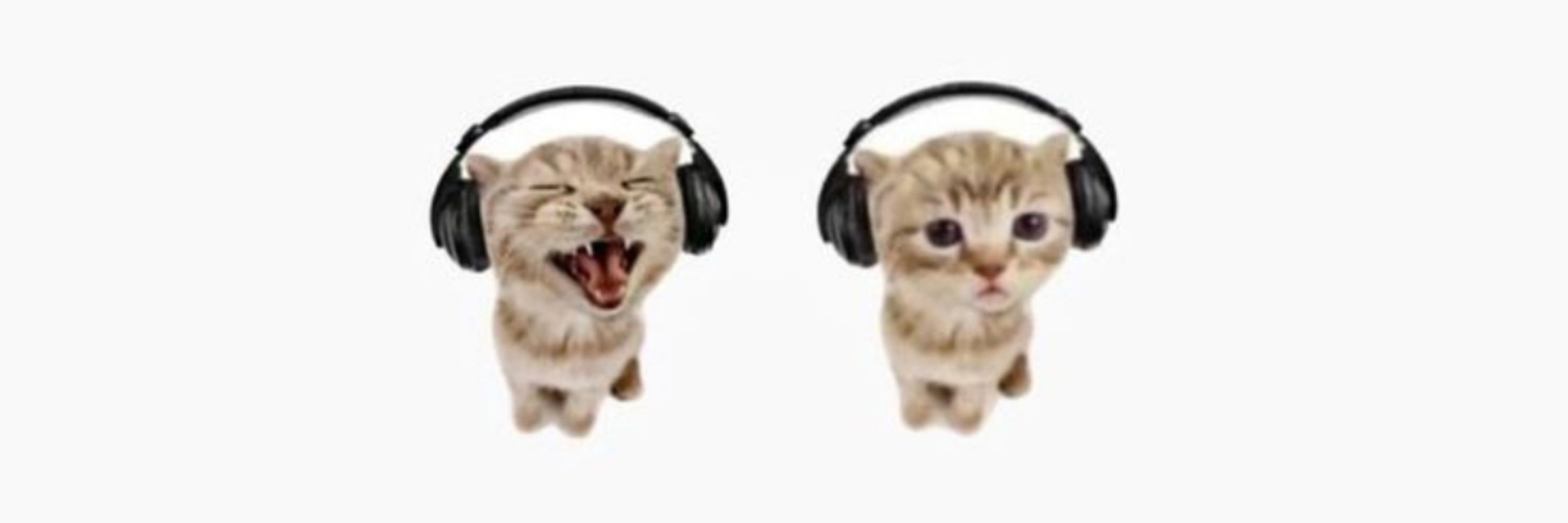 bubu