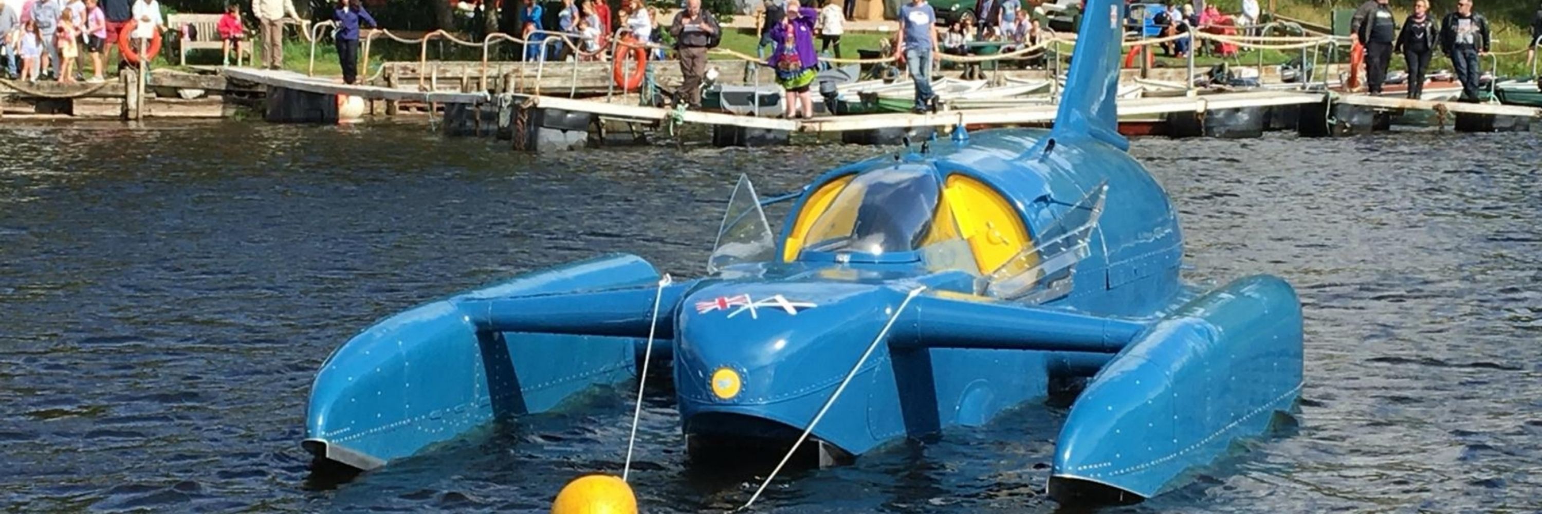 The Bluebird Project