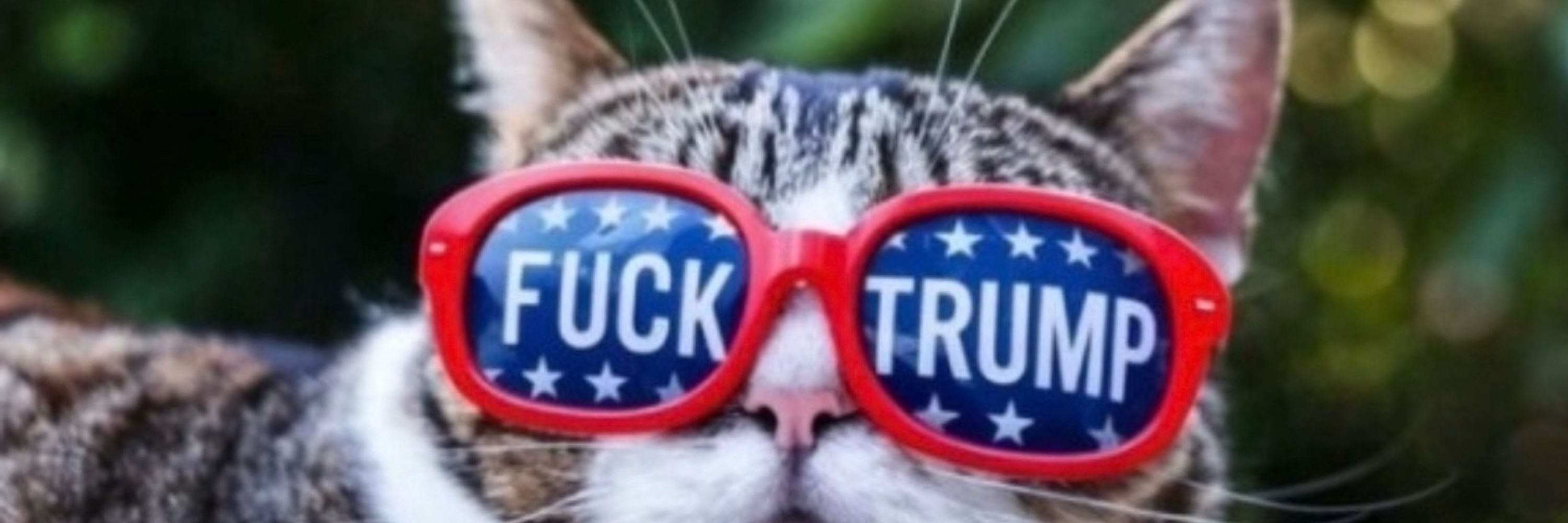 Felix 🆘🇺🇸