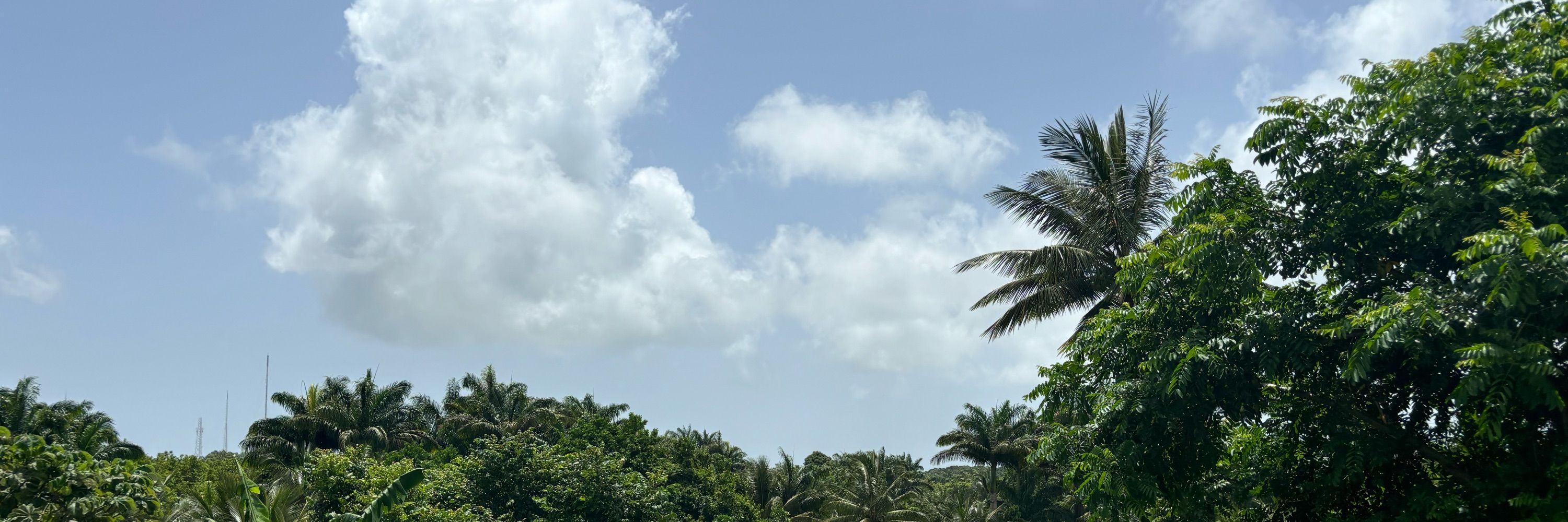 AZ ✨🇧🇧