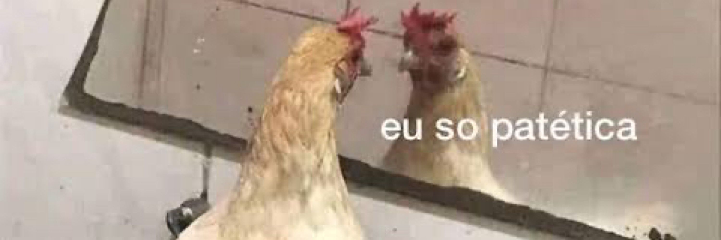 opa_brunildes