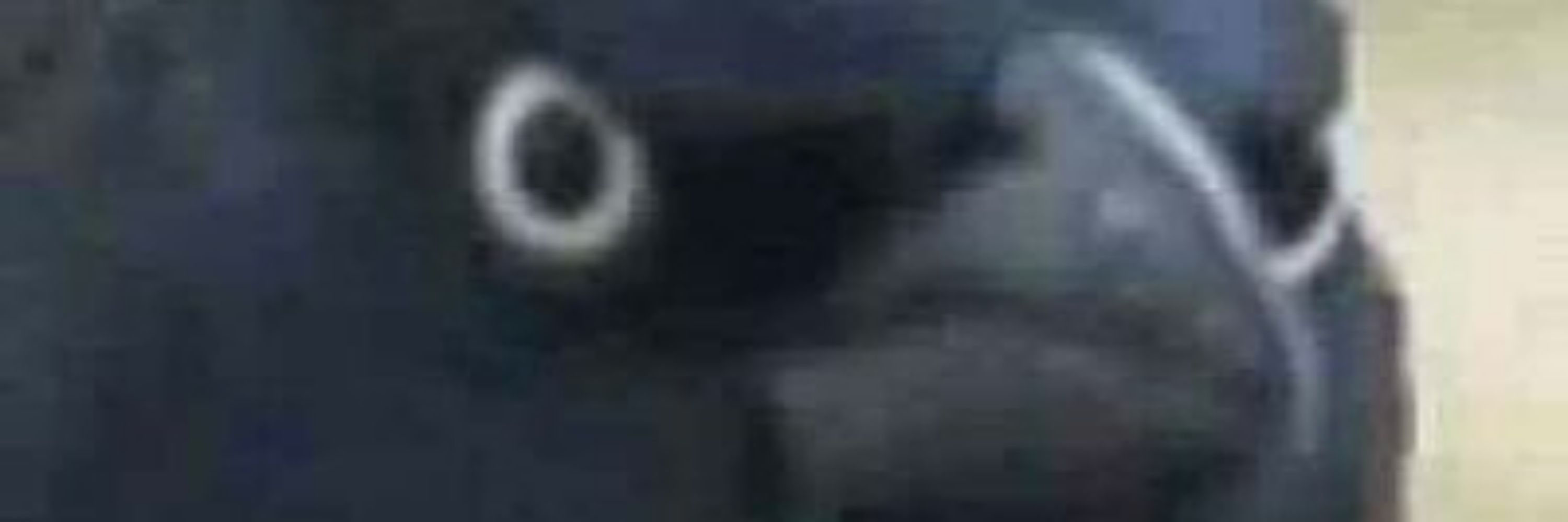 Crow_of_judg3m3nt 