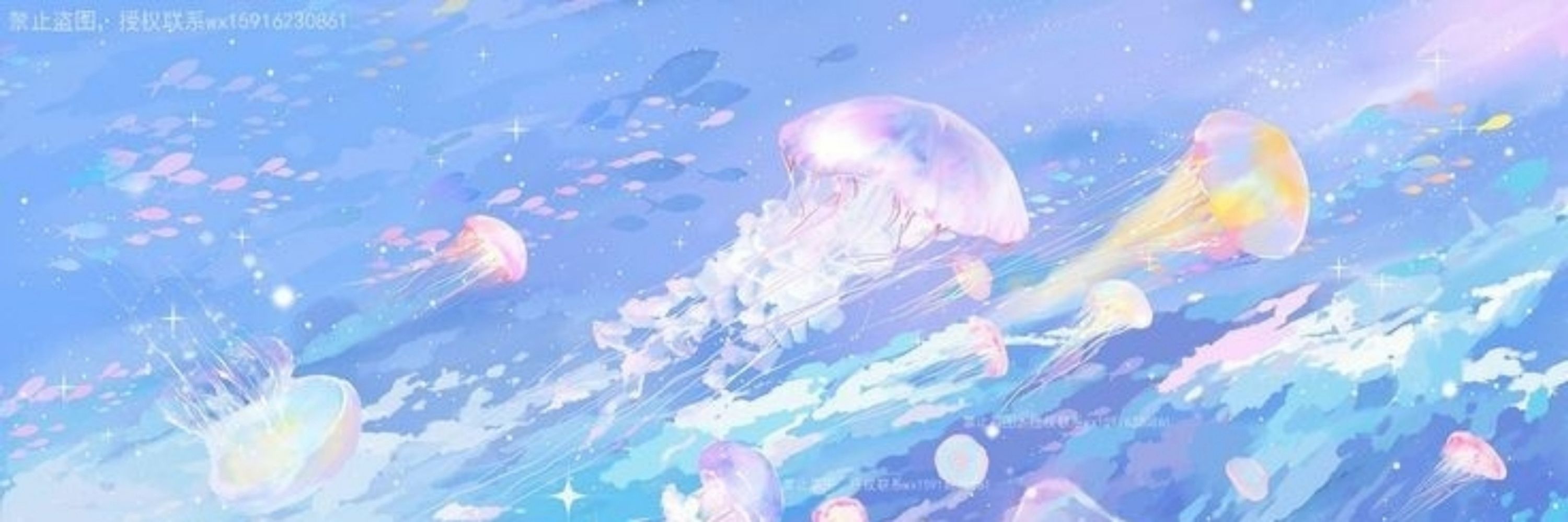 MoonJelly🌙🪼