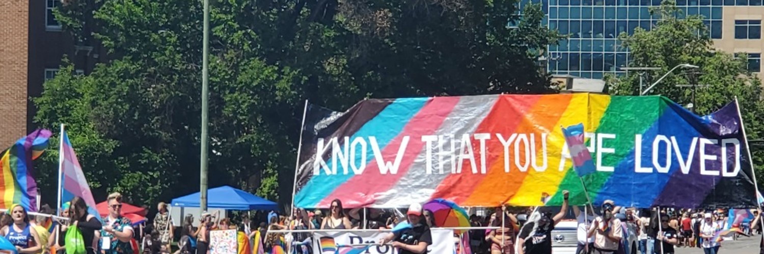 Not Redacted, Lesbian Dance Theorist