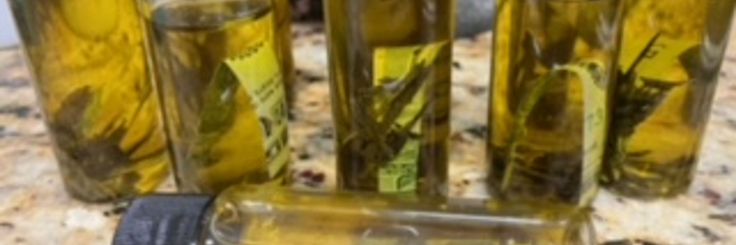 Momma Melinda's Magicals & Botanicals