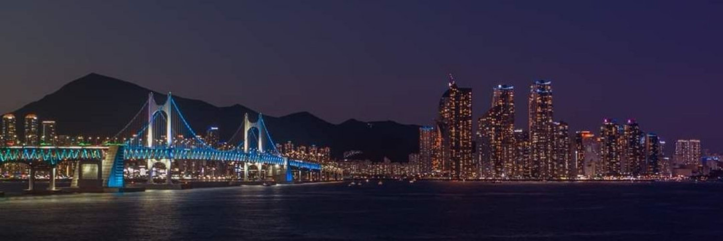 사진사 야거