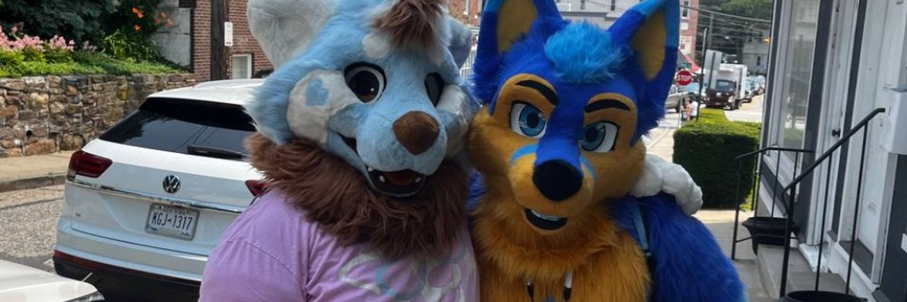 Hachi-fox