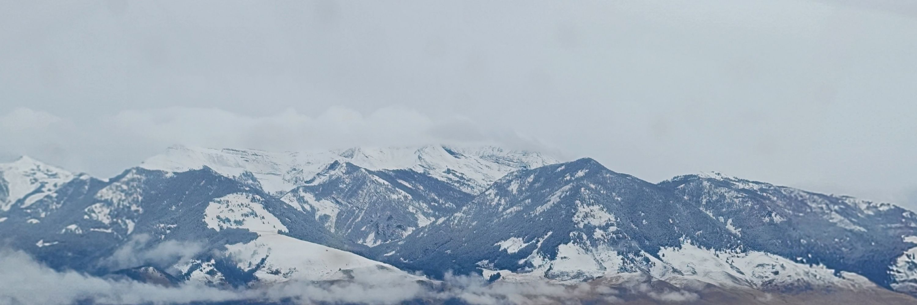 Aceuda