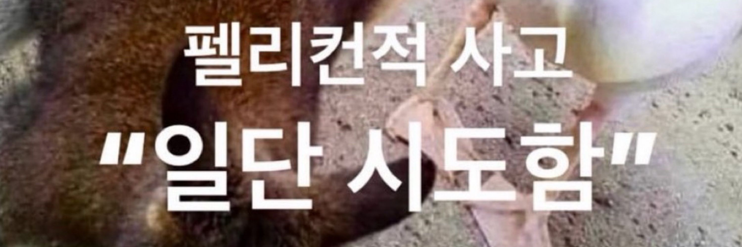 서량, 잠자다