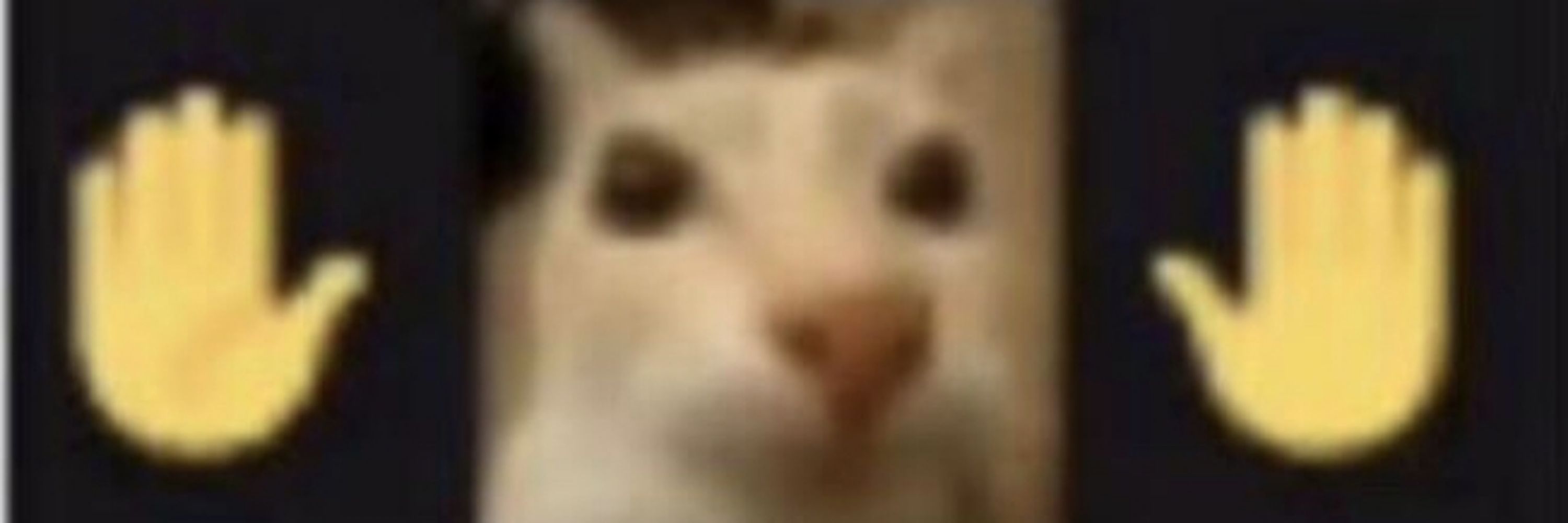 Tomas