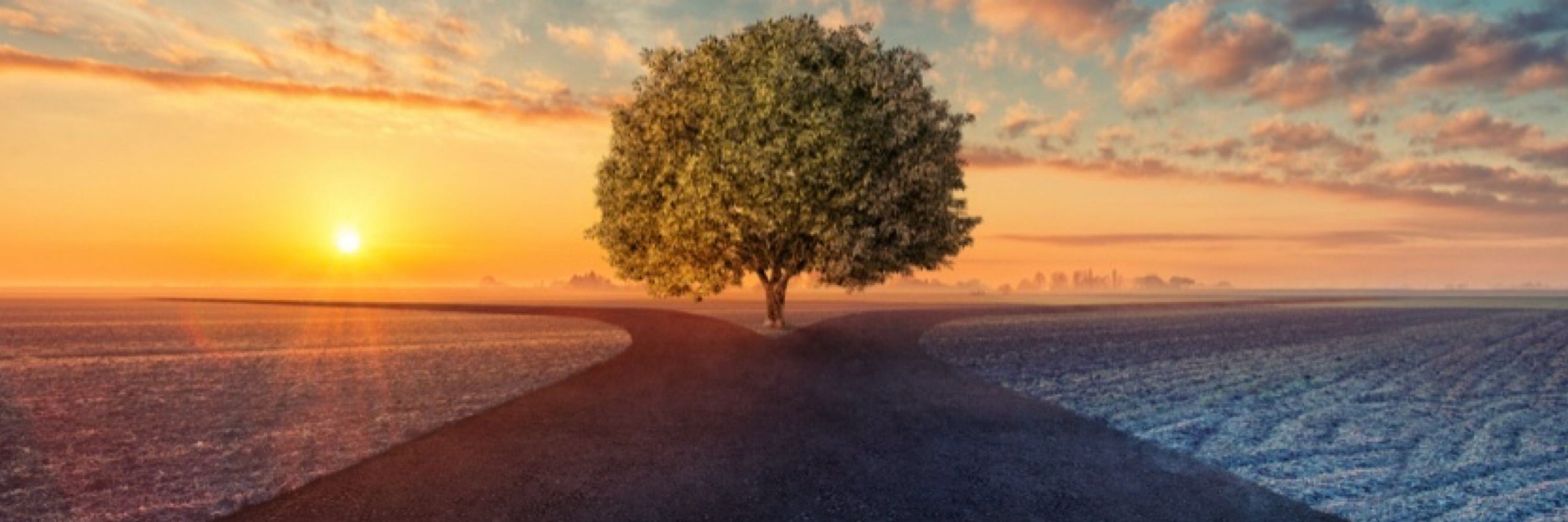 Two Roads