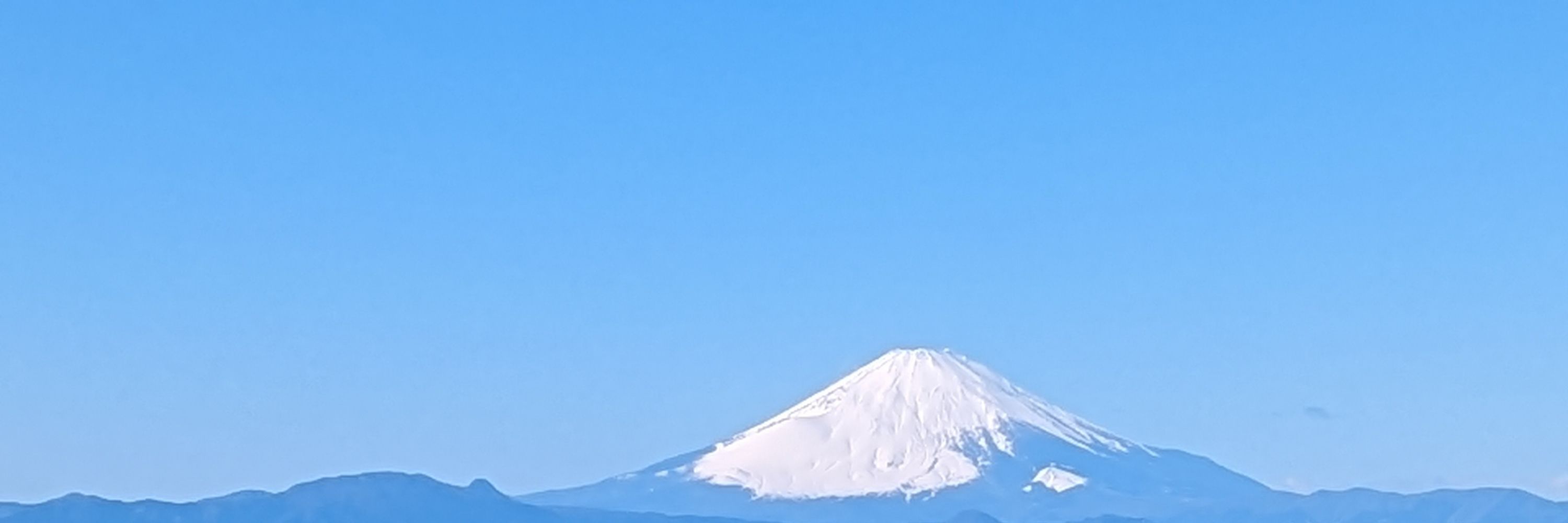 ことぶき