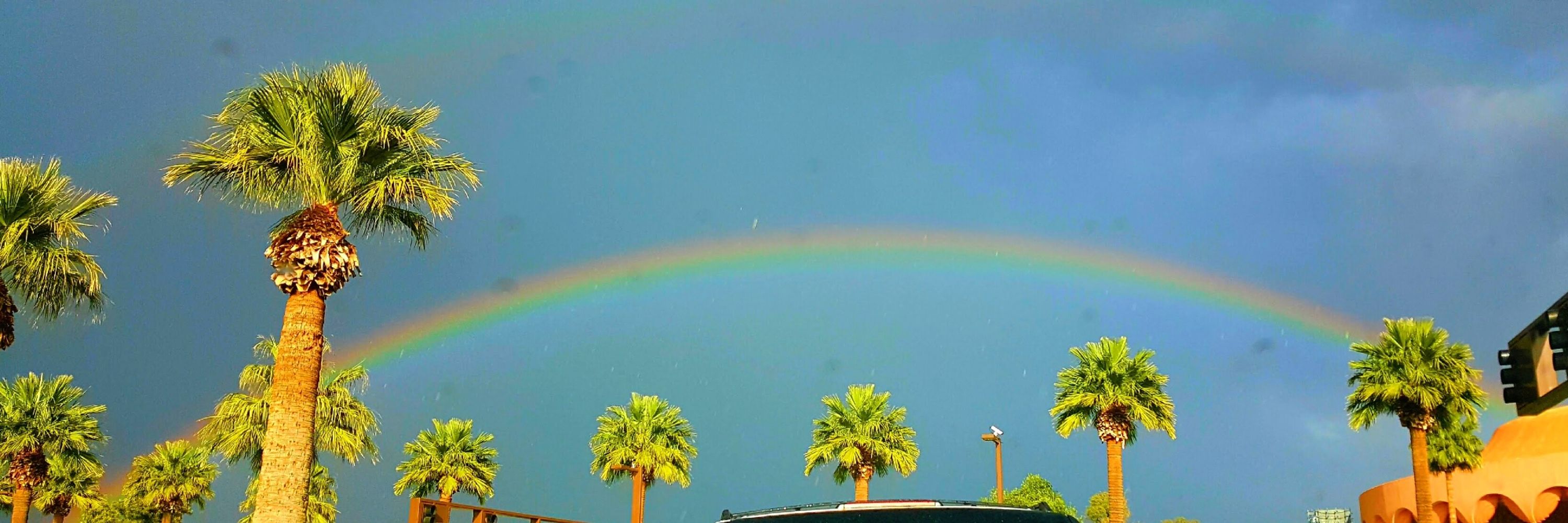 J.Arizona