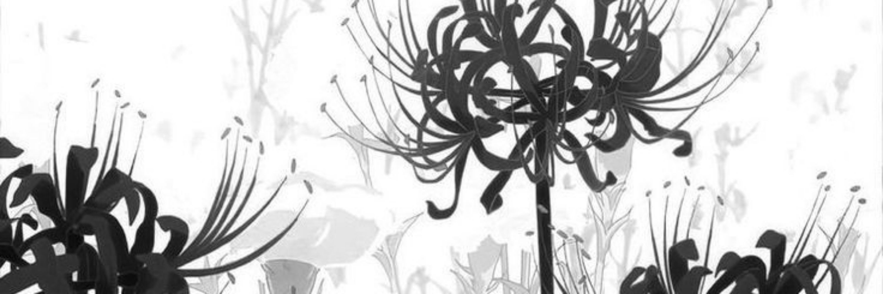 🕷️ Tsuki