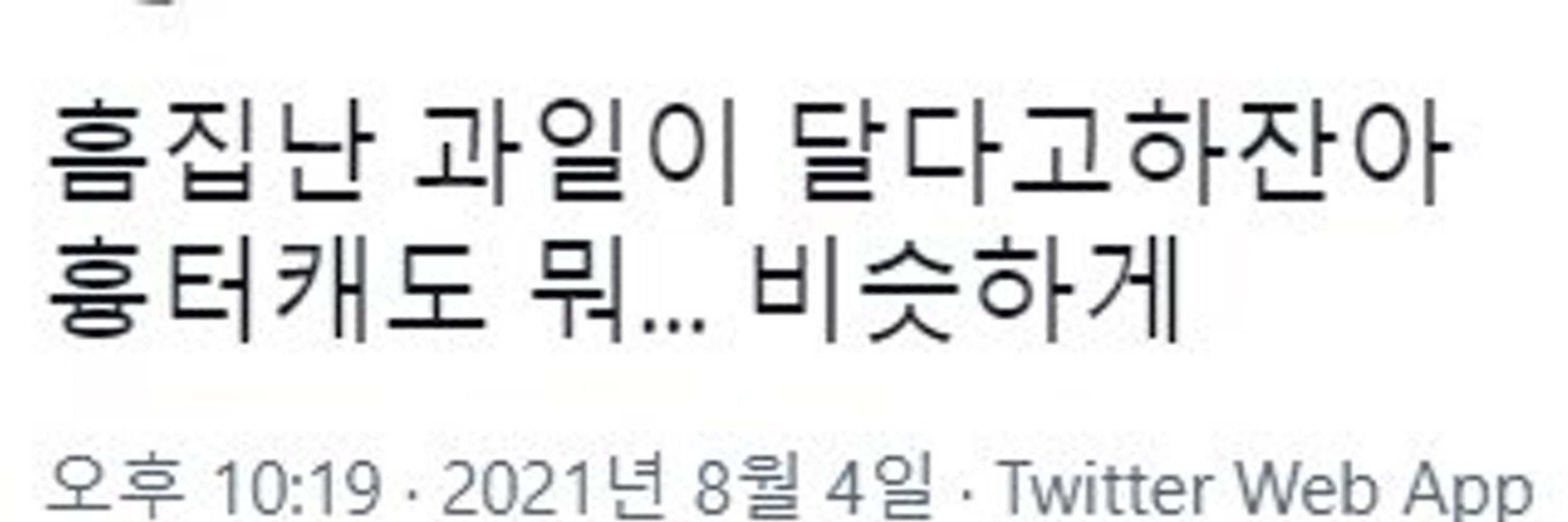 김코이
