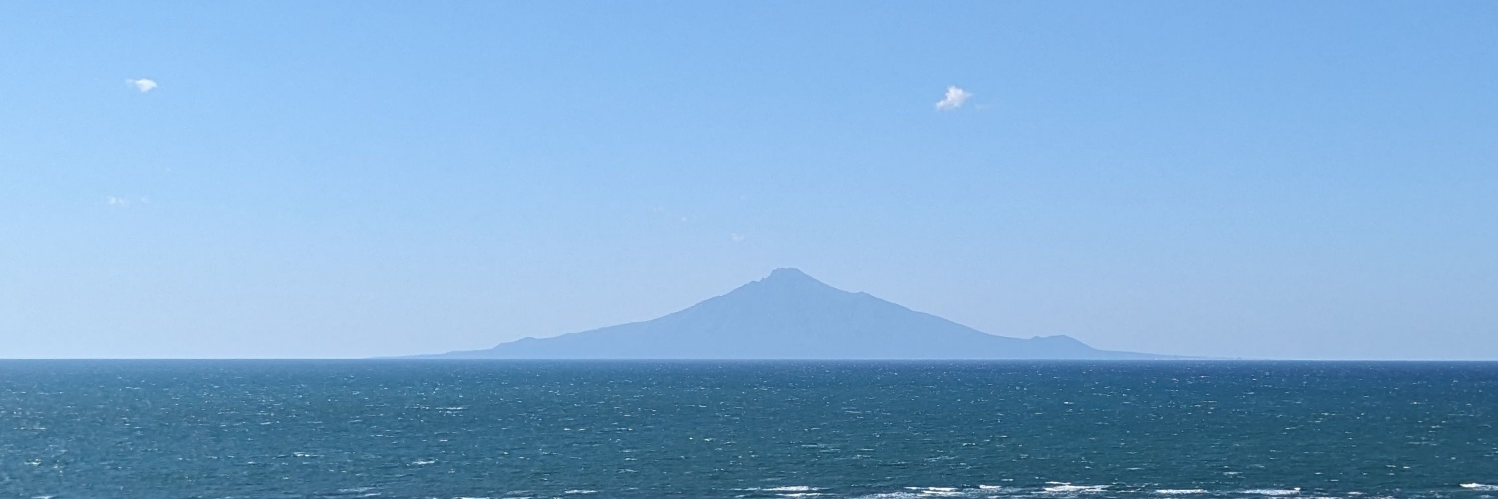 たまも