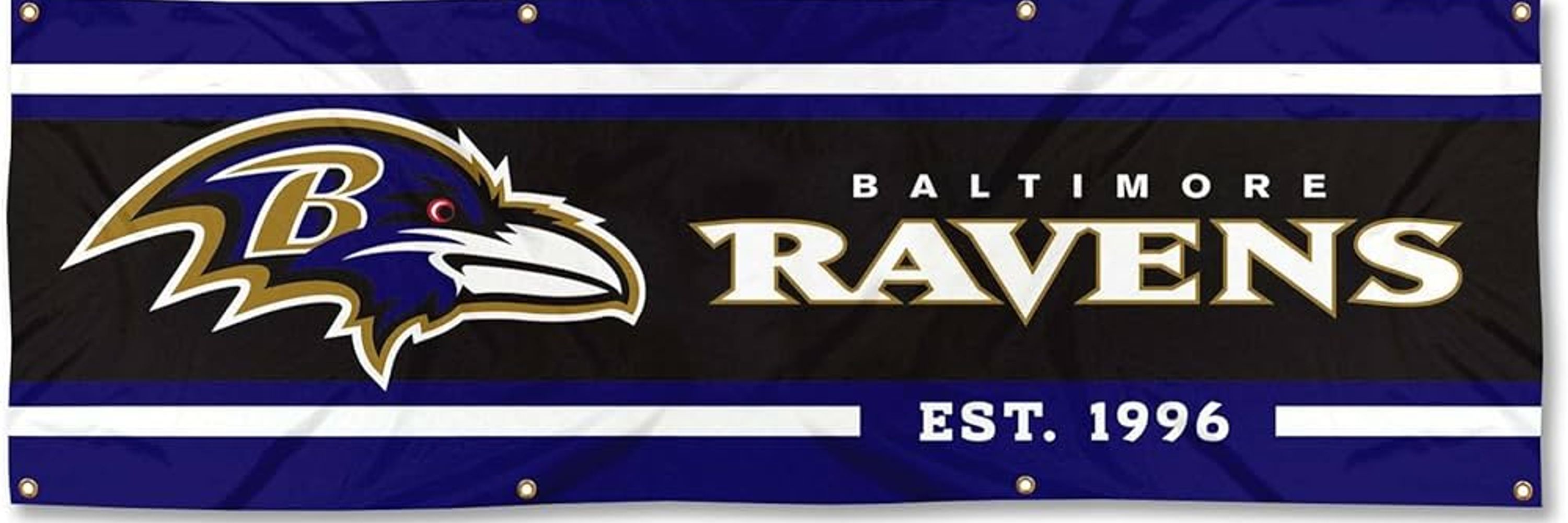 RavenHype96