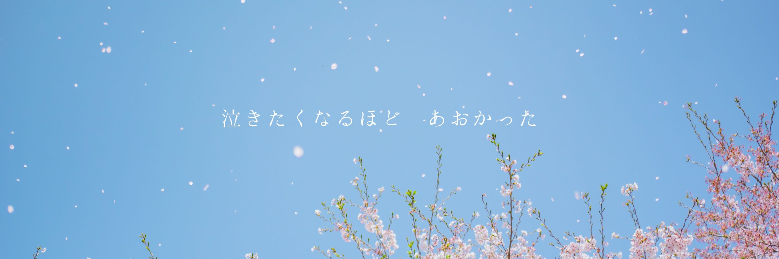 塵太