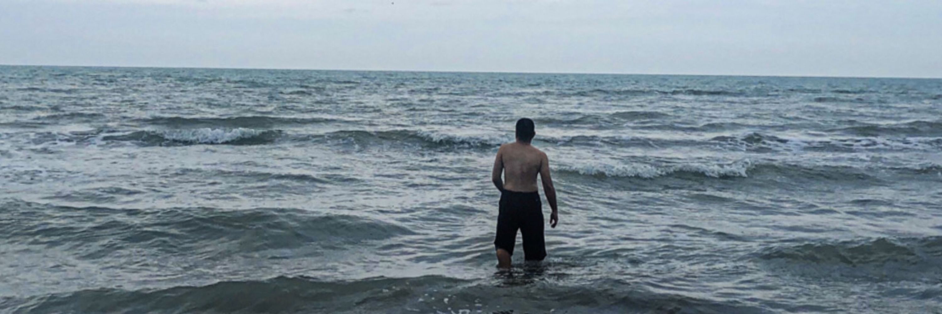 حمیدرضا