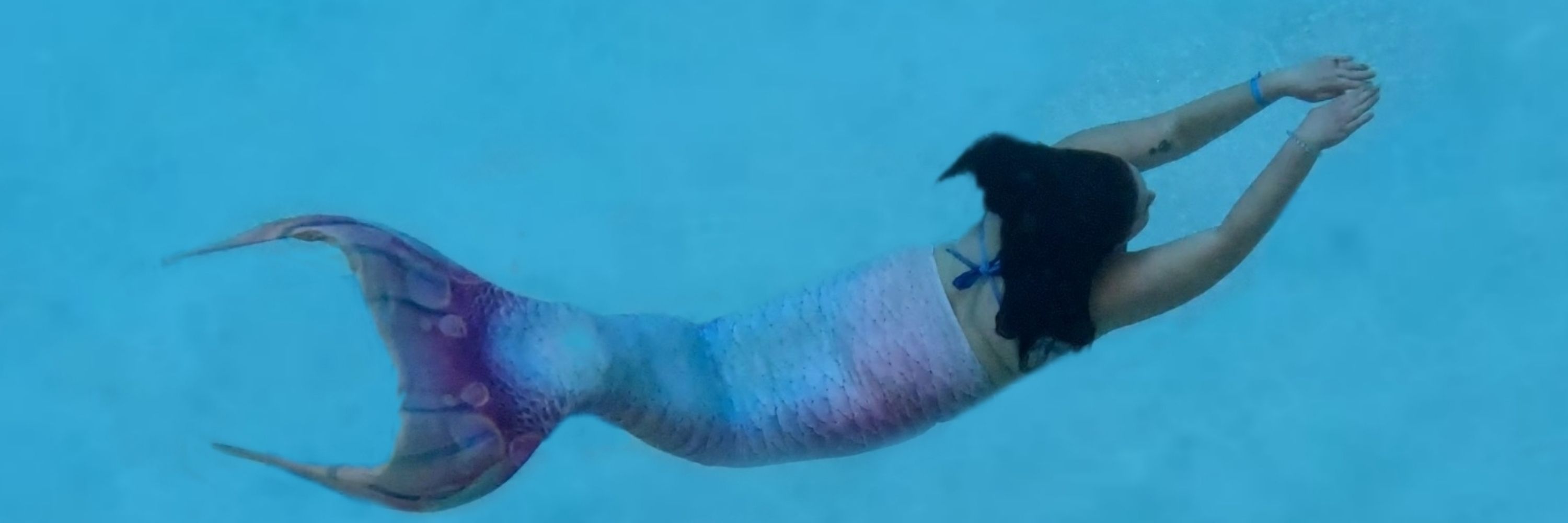 Sierra Mermaid