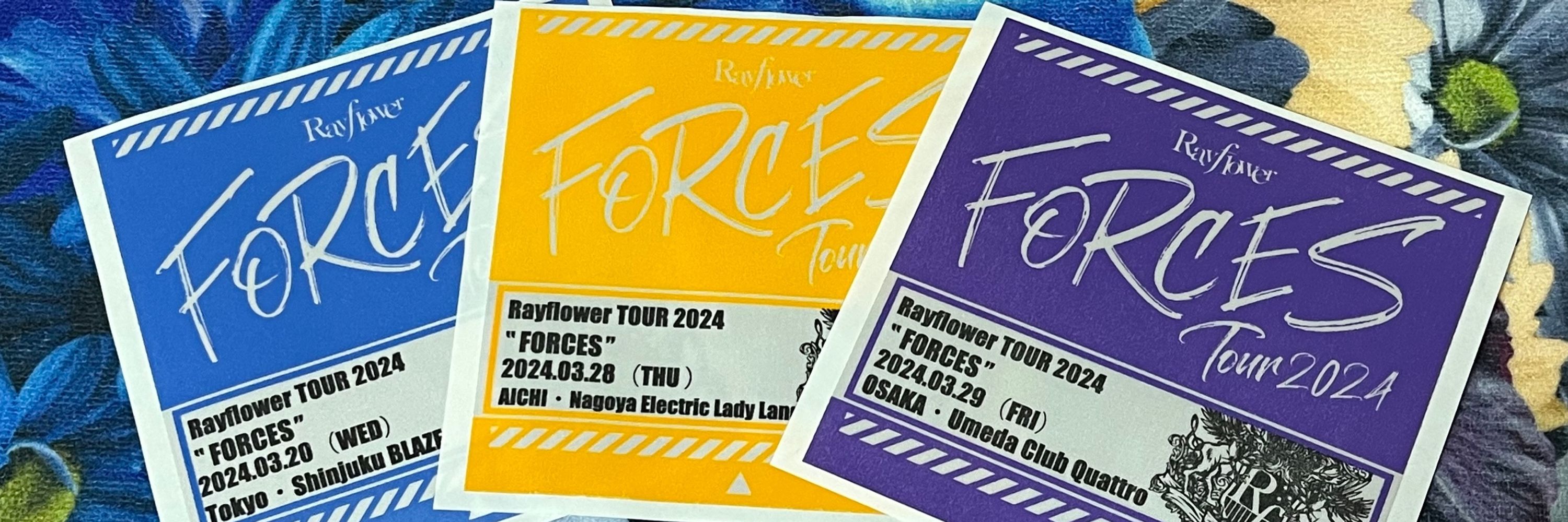 Kumi＠参戦記録